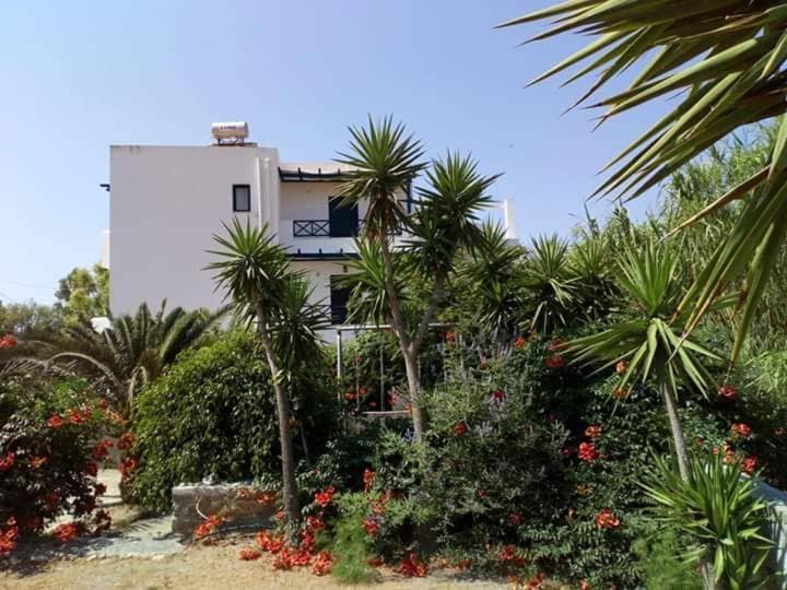 Glafki Studios Syros Megas Gialos - Nites Exterior foto